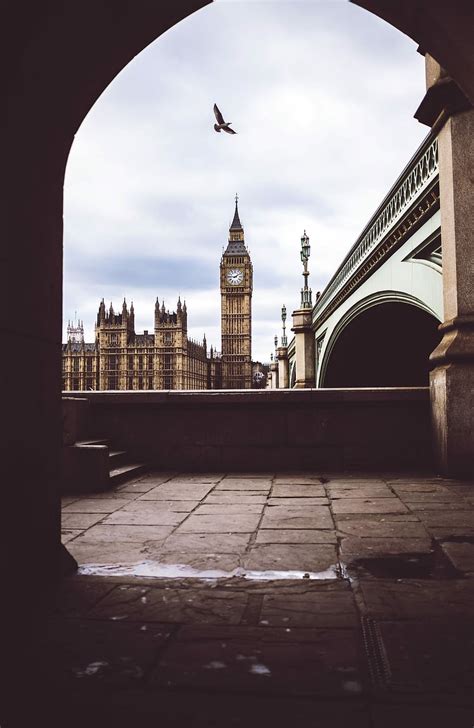 HD wallpaper: bird flying over The Big Ben and Lambet bridge London at ...