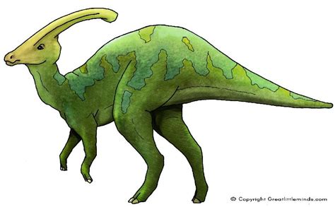 Parasaurolophus | Dinosaur images, Dinosaur, Dinosaur coloring