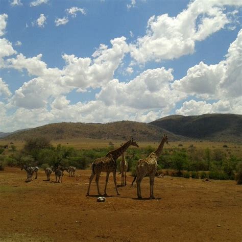 Pilanesberg National Park - Park