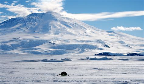 91 volcanoes discovered under Antarctic ice sheet | Fox News