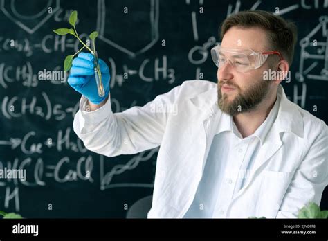 Male microbiologist working in laboratory examining plants in test tube, conducting experiments ...