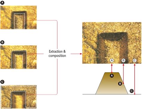 Depth Composition | Microscope Observation Techniques | Microscope ...