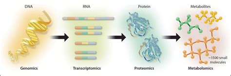 OR&R Attends Colloquium on ‘Microbial Genomics of the Global Ocean ...