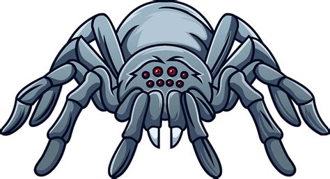 Spider clipart. Free download transparent .PNG | Creazilla