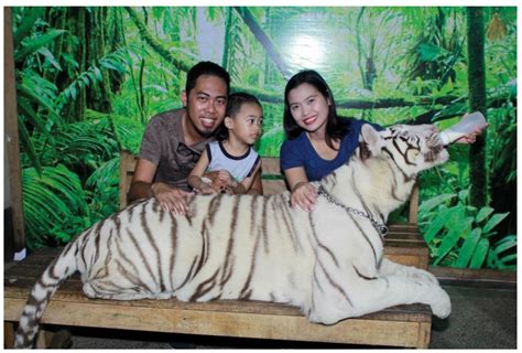 Zoobic Safari: The First Night Safari in the Philippines Experience ...