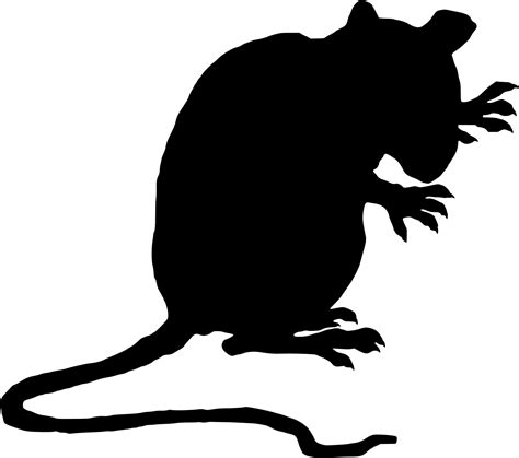 Brown rat Black rat Laboratory rat Mouse Clip art - Evil Rat Cliparts ...