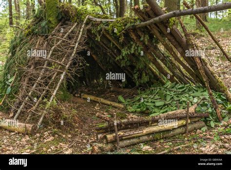 Survival shelter and survivor concept. A-frame shelter construction shelter with log fire ...