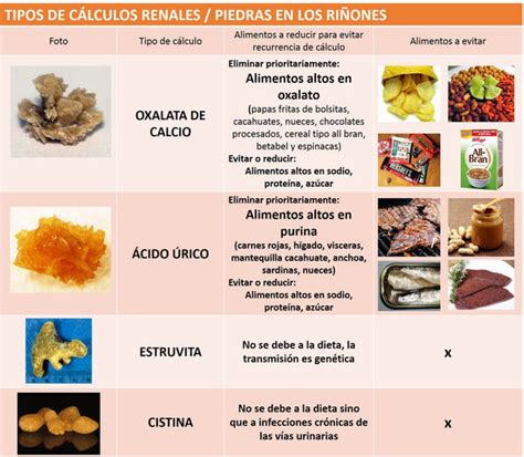 Blog Filtros de Agua Iniciativa México etiquetado "alimentos que causan piedras en riñones" - EOZ