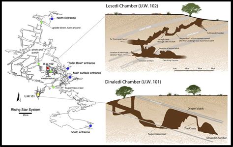 The excavation – Maropeng and Sterkfontein Caves