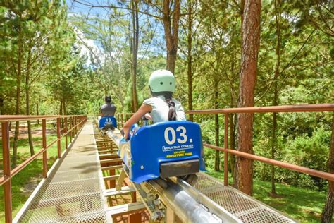 Dahilayan Adventure Park to launch Razorback, Philippines' first alpine coaster - VisMin.ph