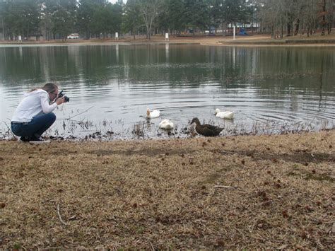 Photographing birds in a park. [IMAGE] | EurekAlert! Science News Releases