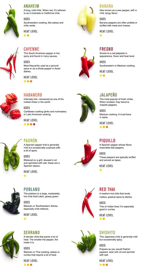 Guide to Chiles | Williams-Sonoma Taste