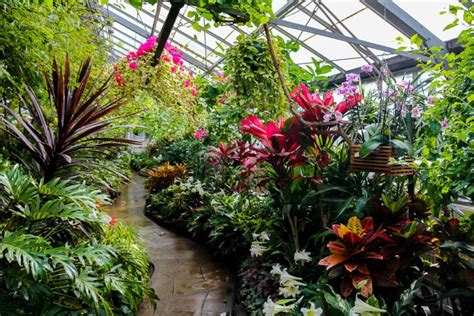 Toronto conservatories allan gardens cloud gardens and centennial park conservatory – Artofit