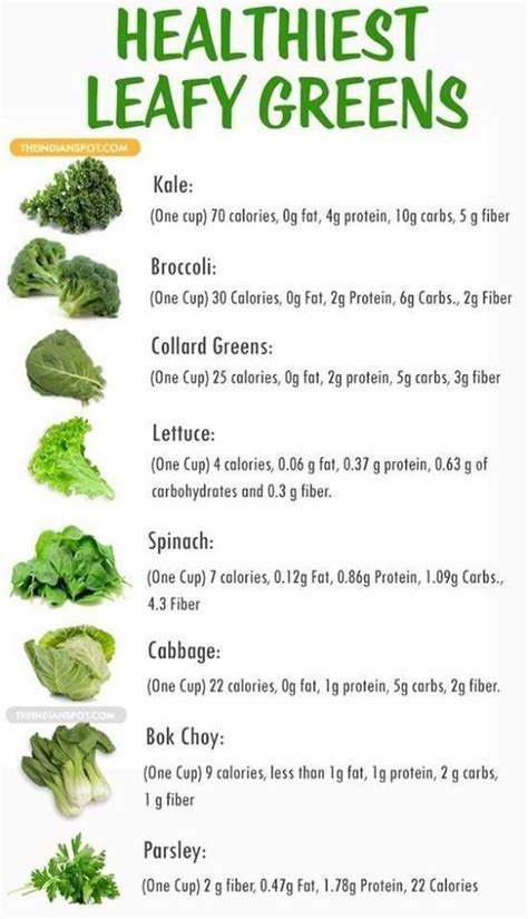 List of Leafy Green Vegetables | Healthy fruits and vegetables ...