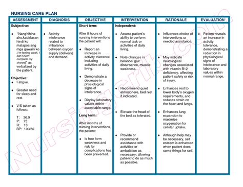 Nursing Care Plan Templates