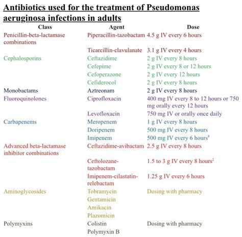 Pseudomonas Aeruginosa Pneumonia Antibiotic Treatment - Carpet Vidalondon