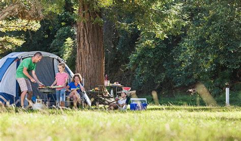 The Basin campground | NSW National Parks