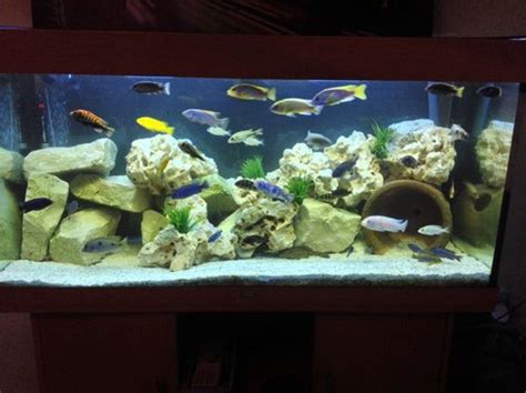 Stacking Rocks in Your Aquarium - RateMyFishTank.com