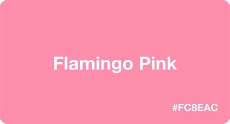 Flamingo Pink Color: Best Practices, Color Codes, Palettes & More!