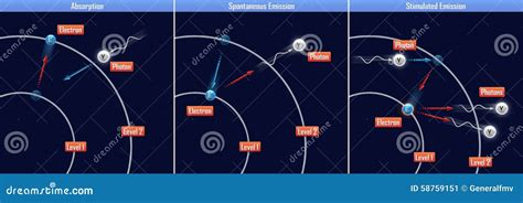 Absorption, Spontaneous Emission And Stimulated Emission Stock Illustration - Image: 58759151