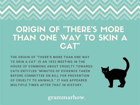 There's More Than One Way To Skin A Cat - Origin & Meaning (With Examples)