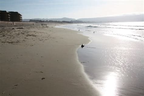 Monterey State Beach – Seaside Beach, Seaside, CA - California Beaches