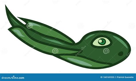 Tadpole Cartoons, Illustrations & Vector Stock Images - 713 Pictures to download from ...