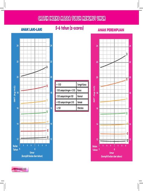 Grafik Indeks Massa Tubuh Menurut Umur | PDF