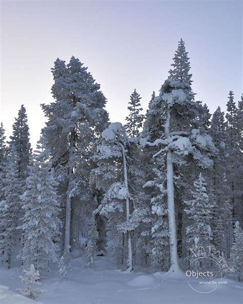 Winter wonderland in Finland. Read about our short trip to Finish Lapland in the hope of ...