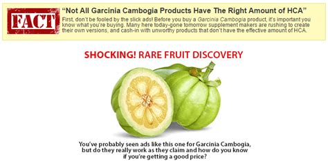 Garcinia Cambogia: Weight Loss Fact or Fiction? - Blog Medicine