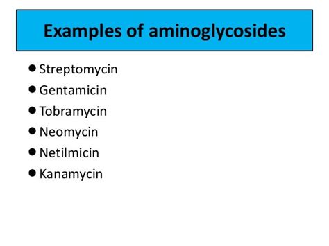 Aminoglycosides and their uses.