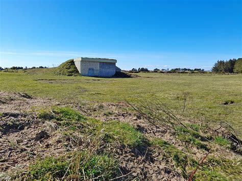 Sand martin house extension | Scottish Wildlife Trust