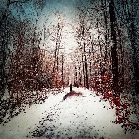 Winter Walk on Behance