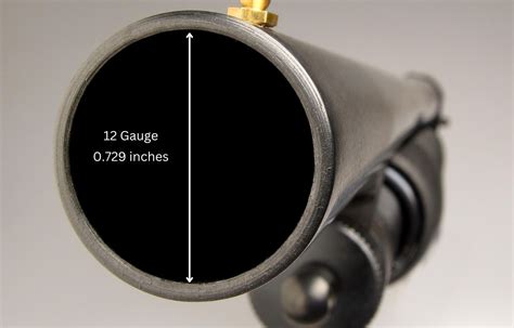 10 Gauge Vs 12 Gauge Shotgun, The Differences Explained