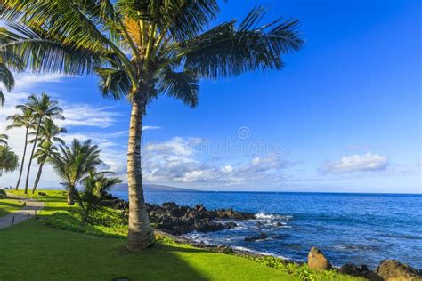 Wailea Makena Beach in Maui, Hawaii, USA Stock Photo - Image of grass ...