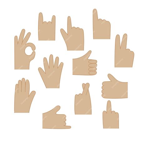 Premium Vector | Vector human hand gestures set. different gesture palm ...