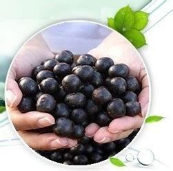 Acai Berry Side Effects | Side Effects | health benefits blog