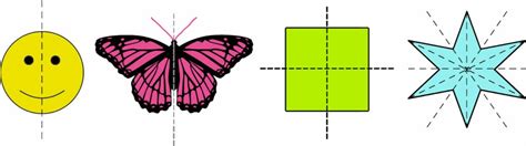 Symmetry in Nature | Mathcurious