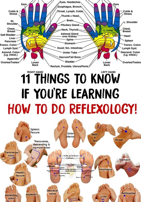 How To Learn Reflexology - Flatdisk24