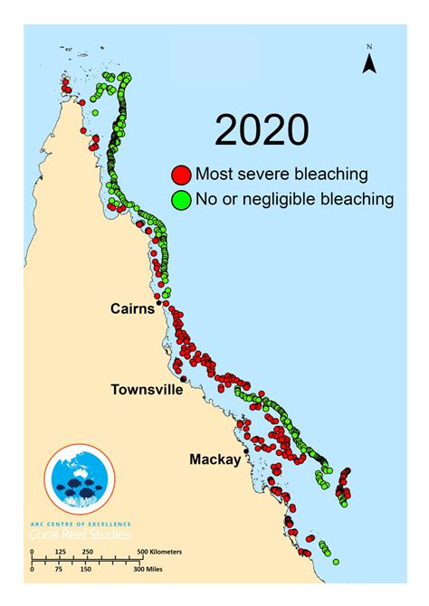 Great Barrier Reef suffers its most widespread mass bleaching event on record in 2020 | Great ...