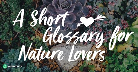 8 Words for Nature Lovers | Grammarly Blog