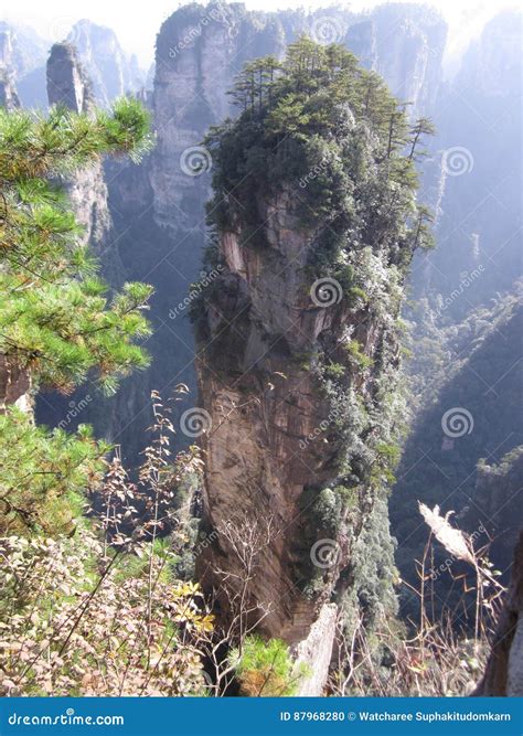 Outstanding Mountain in Tianzi Mountain Avatar, China. Stock Photo ...