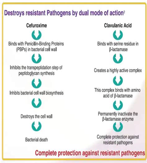 Cefuroxime plus Clavulanic acid: Effectively treat Resistant Bacteria ...