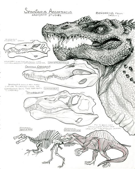 The Art of Cody Raiza: Anatomy Studies and Dinosaur Friends