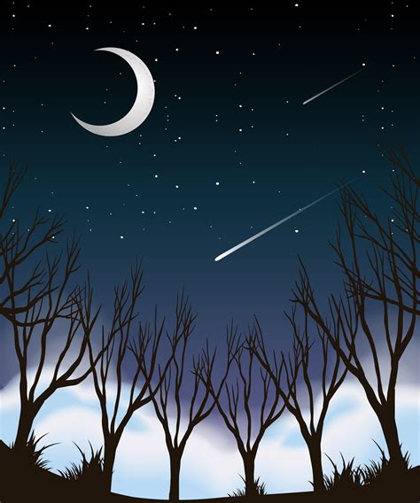 Night sky forest scene 372110 Vector Art at Vecteezy