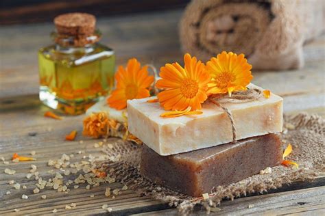 10 Best Herbs for Soapmaking and How to Make Chamomile Soap | Herbal remedies recipes, Homemade ...