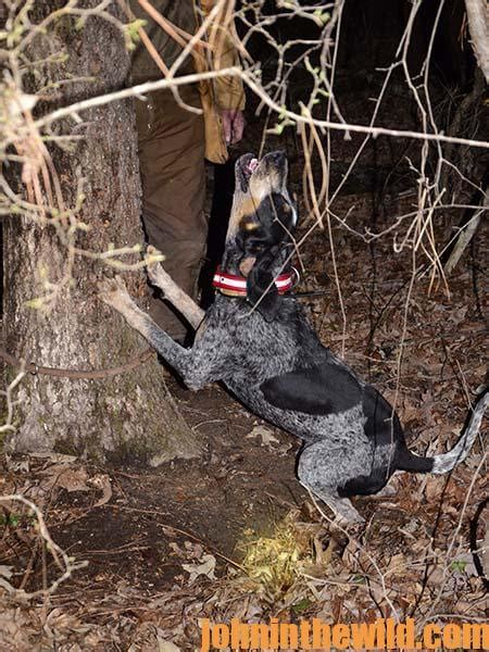 The Evolution of a Coon Dog Man - John In The WildJohn In The Wild ...