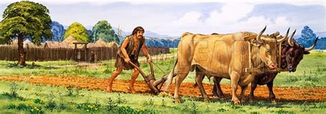 Neolithic People Farming