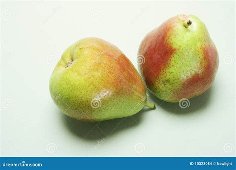 Forelle Pears stock photo. Image of fruit, produce, life - 10323084