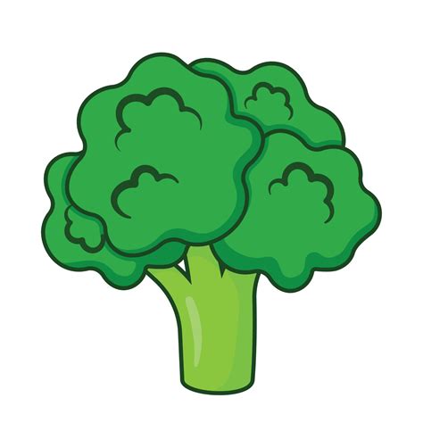 Hand Drawing Broccoli Vector Vegetable Icon Clipart with Outline Stroke, Cabbage on white ...